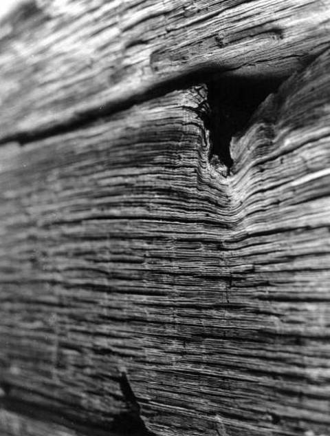 Barn Board